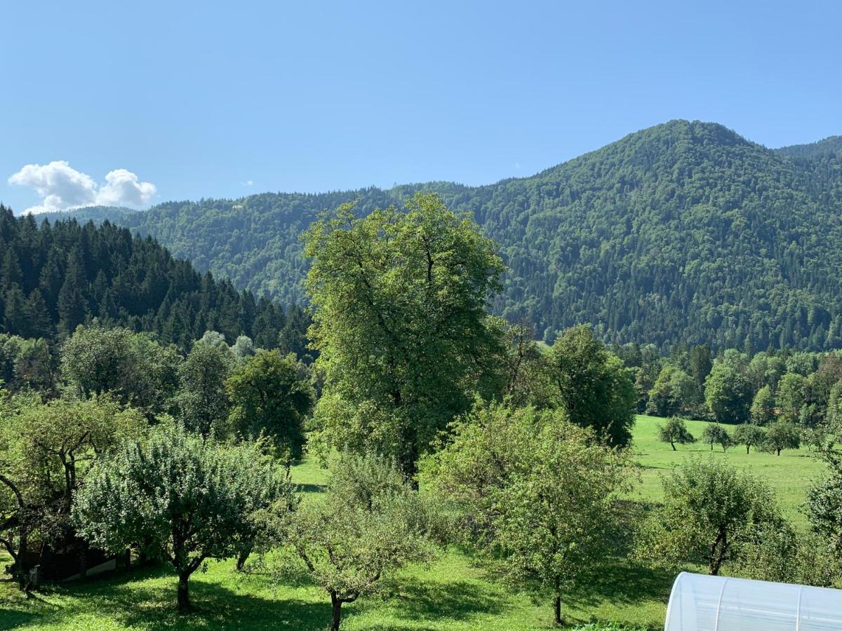 Sobe U Sirrc Bed & Breakfast Bled Exterior foto