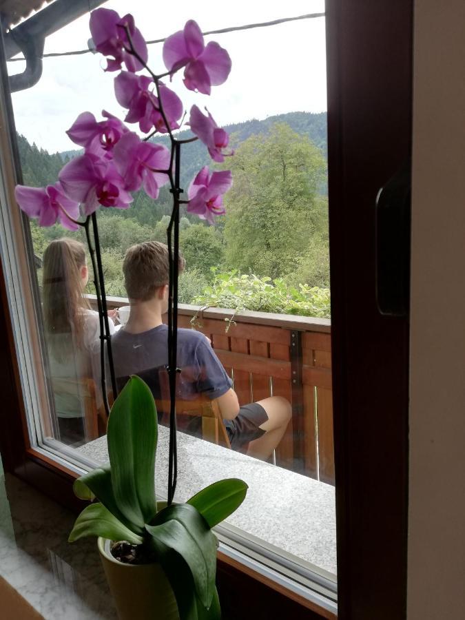 Sobe U Sirrc Bed & Breakfast Bled Exterior foto