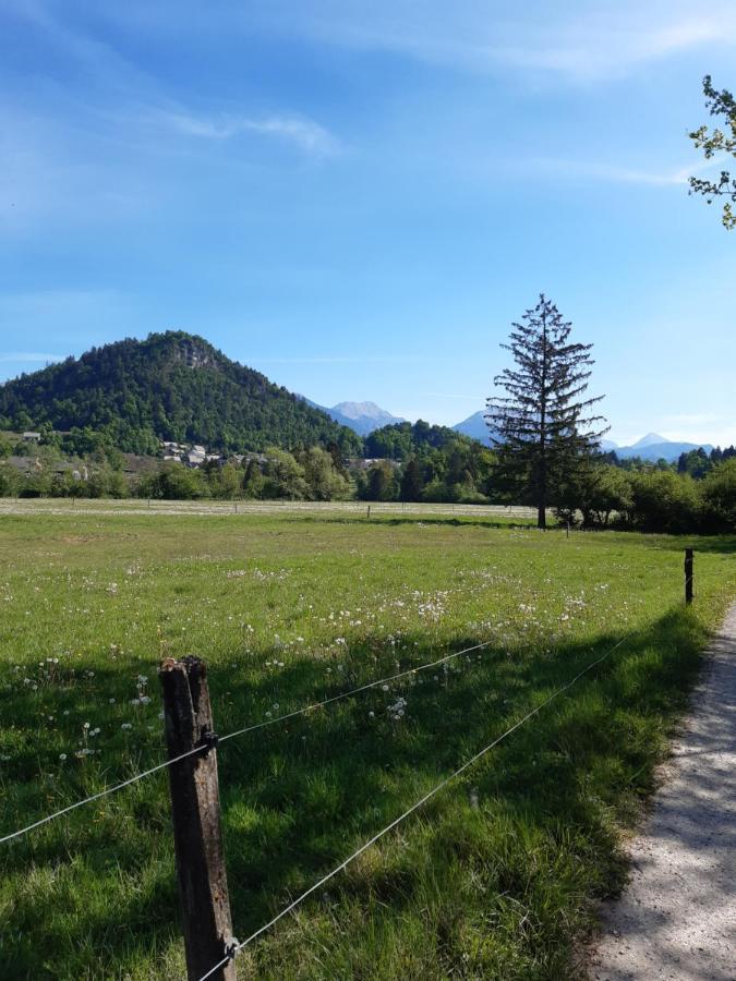 Sobe U Sirrc Bed & Breakfast Bled Exterior foto