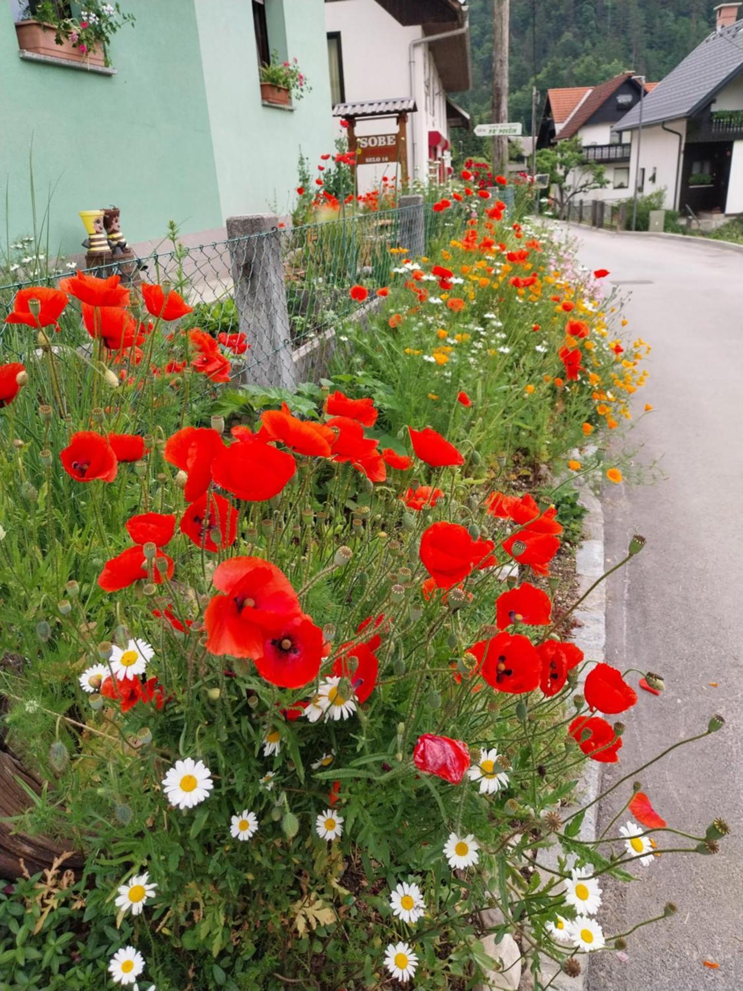 Sobe U Sirrc Bed & Breakfast Bled Exterior foto