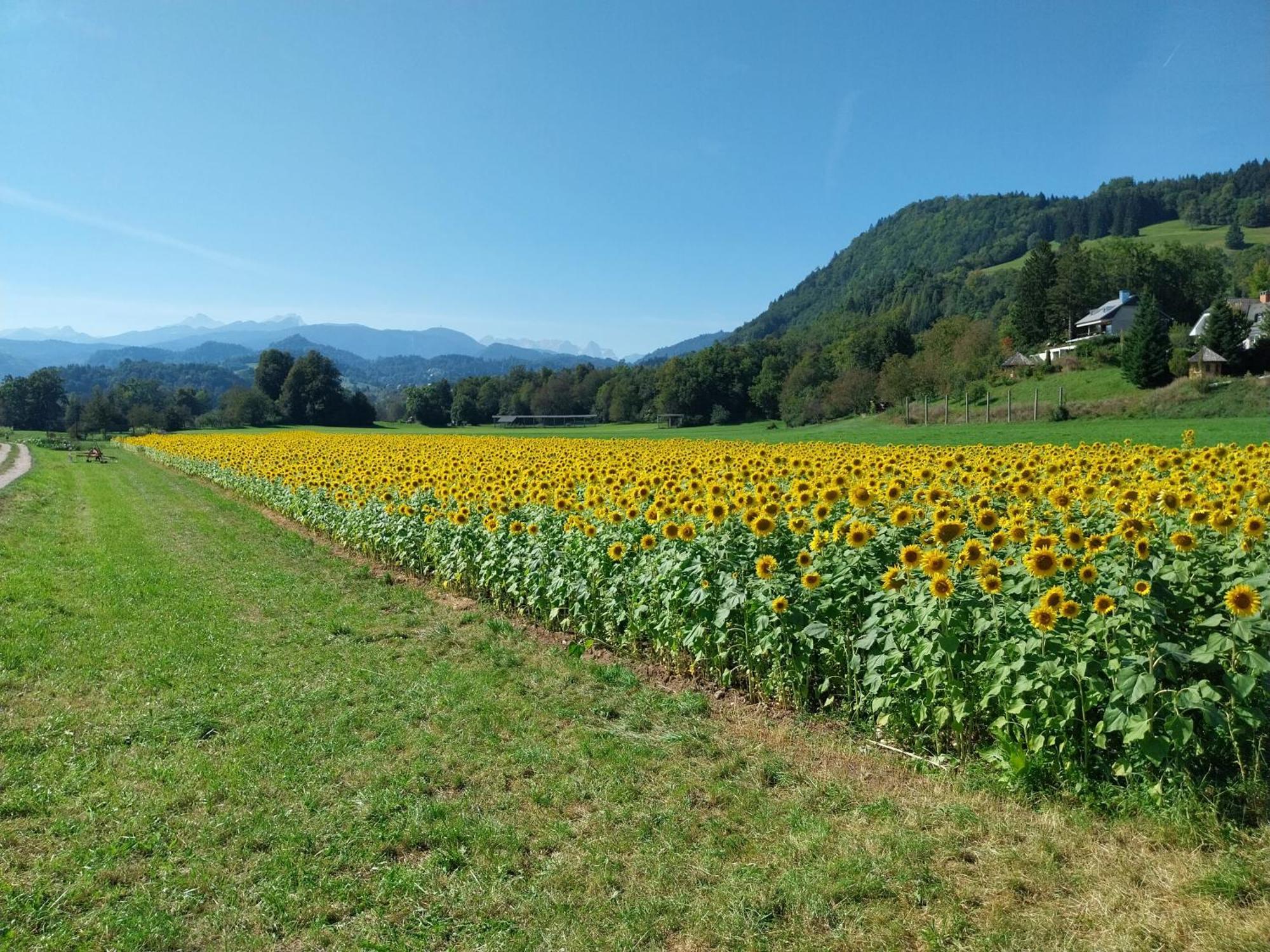 Sobe U Sirrc Bed & Breakfast Bled Exterior foto